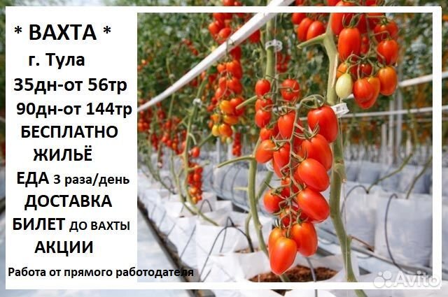 Разнорабочий вахта (питание, жильё)