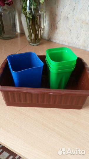 Ящик для рассады