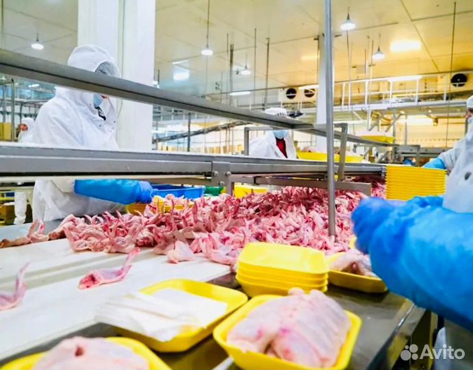 Вахта Белгород Проживание Питание Упаковщик-ца