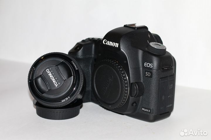 Canon 5D Mark II + 50 1.8