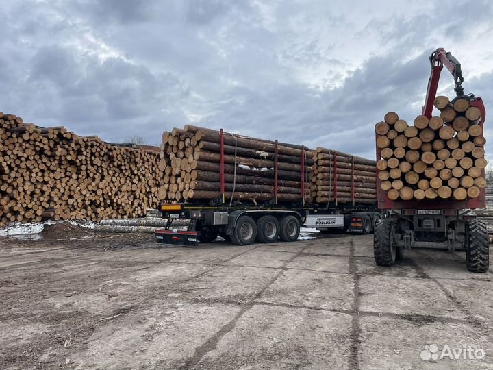 Пиловочник лес кругляк