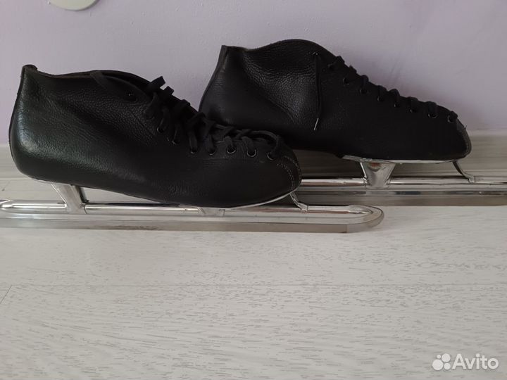 Коньки гаги