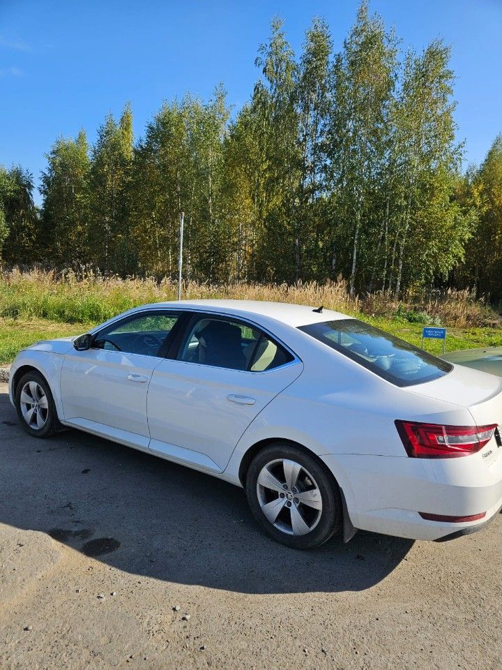 Skoda Superb: фото владельца