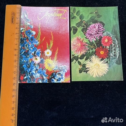 Открытки 100 шт цветы комплект набор поздравление