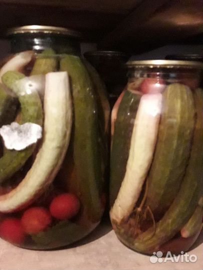 Семена огурцов