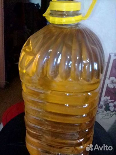 Кедровое масло холодного отжима(0,5)