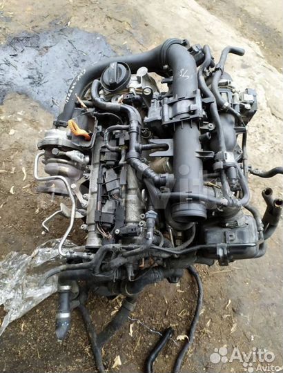 Двс 1.4 CAV Volkswagen