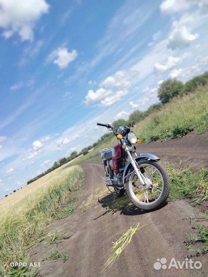 Альфа зверь 110