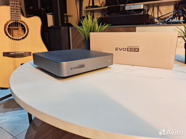 Караоке система для дома EvoBox