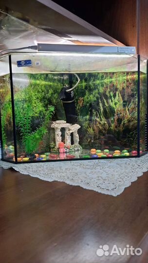 Аквариум