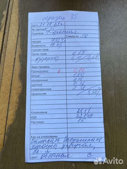 Пшеница 3 класс