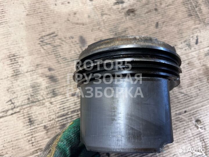 Поршень MAN TGX 2019 51025110871