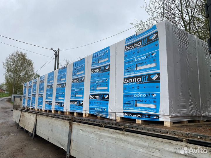 Газоблок 250 200