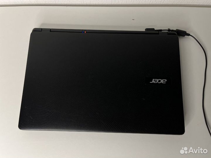 Acer extensa 2519
