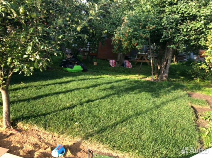 Рулонный газон 