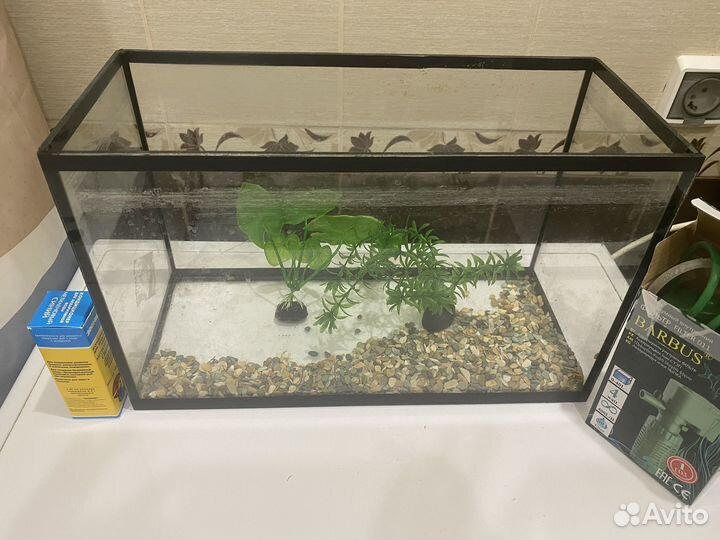 Аквариум