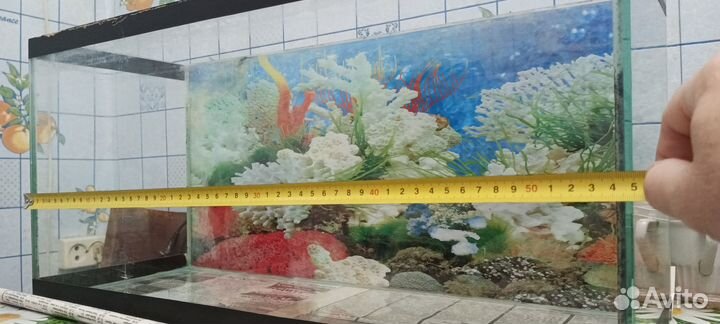 Аквариумы и разное оборудование
