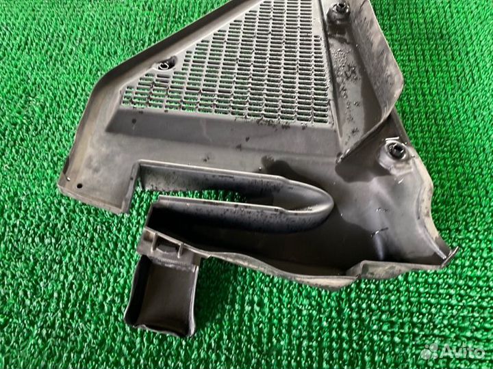 Жабо лев. BMW X5