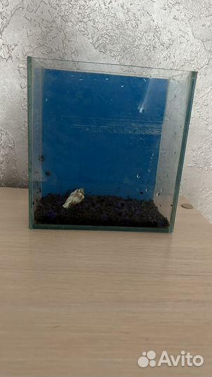 Аквариум