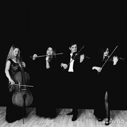 Скрипач, струнный квартет, оркестр