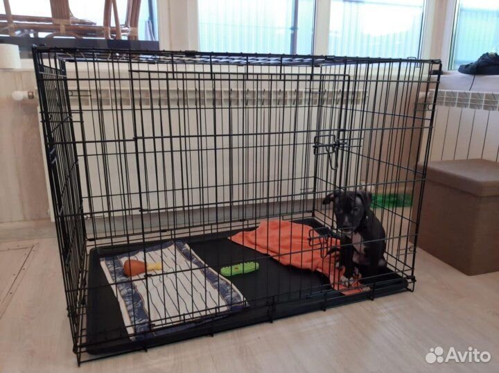 Клетка для животных, новая