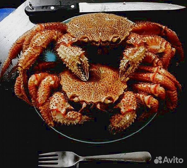 Краб Волосатик