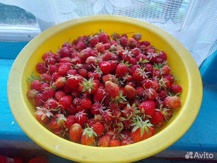 Клубника свежая