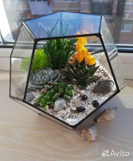 Флорариум. подарки. цветы. суккуленты