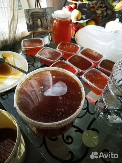 Мед с собственной пасеки