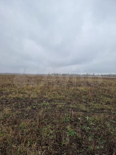 Участок 2,5 га (ИЖС)