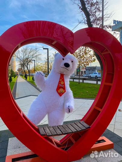 Белый Медведь или Мишка Тедди