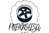 PiterKolesa Company