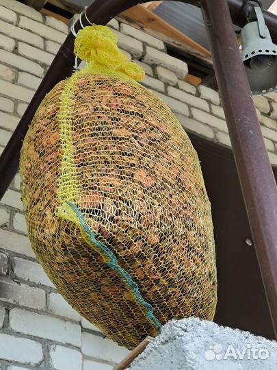 Сушеные яблоки домашние