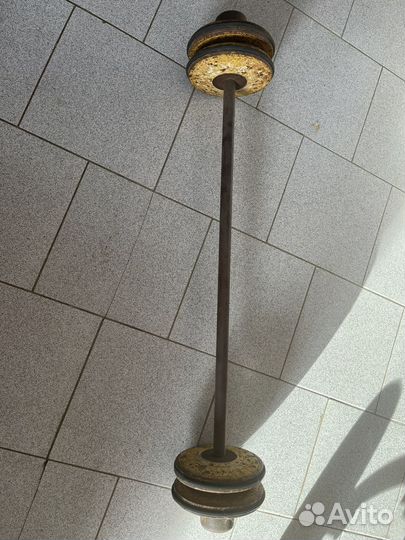 Штанга с блинами