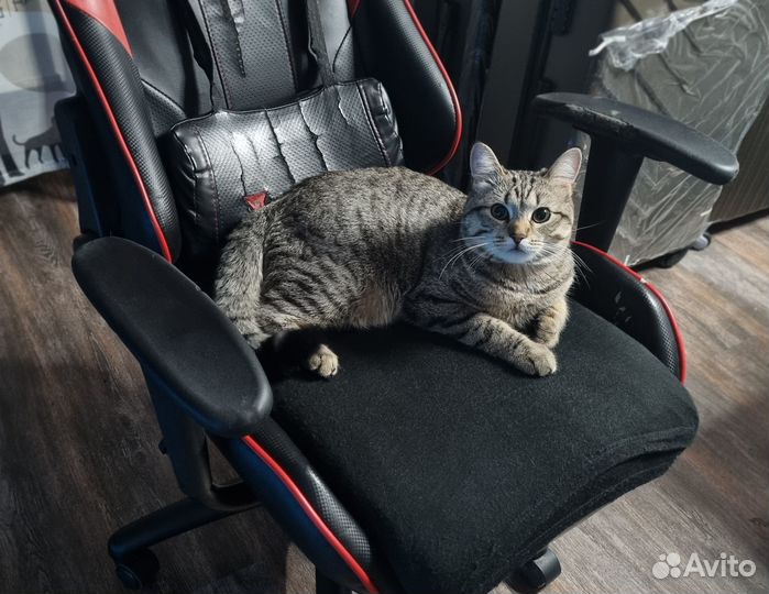 Игровое кресло thunderx3 - красное