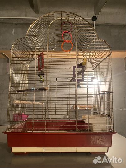 Клетка для попугая