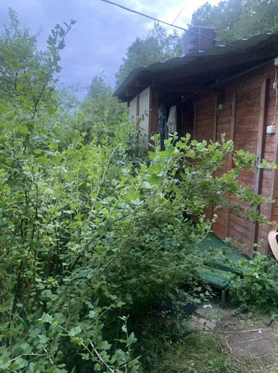 Участок 6 сот. (СНТ, ДНП)