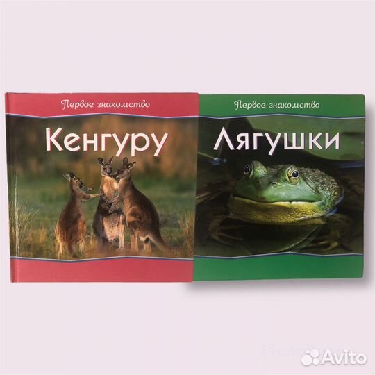 Книги для детей О животных Сказки