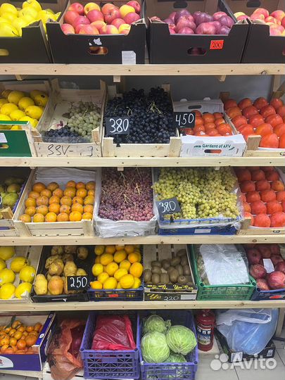 Готовый бизнес Фрукты овощи