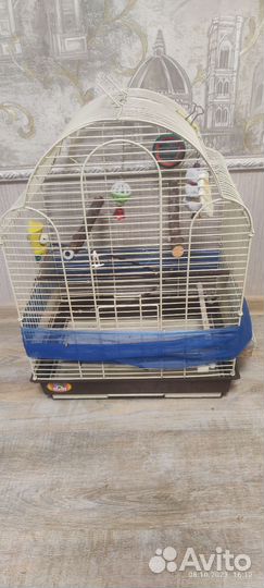 Клетка для попугая бу