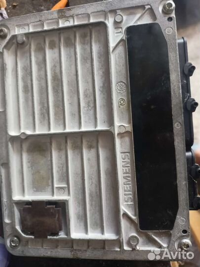 Эбу мозги Фольксваген