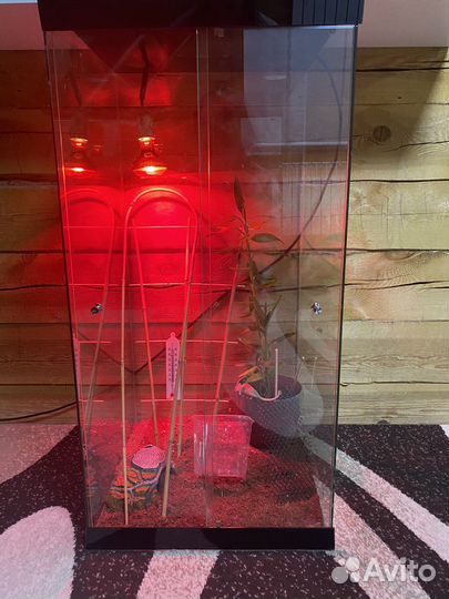 Террариум вертикальный