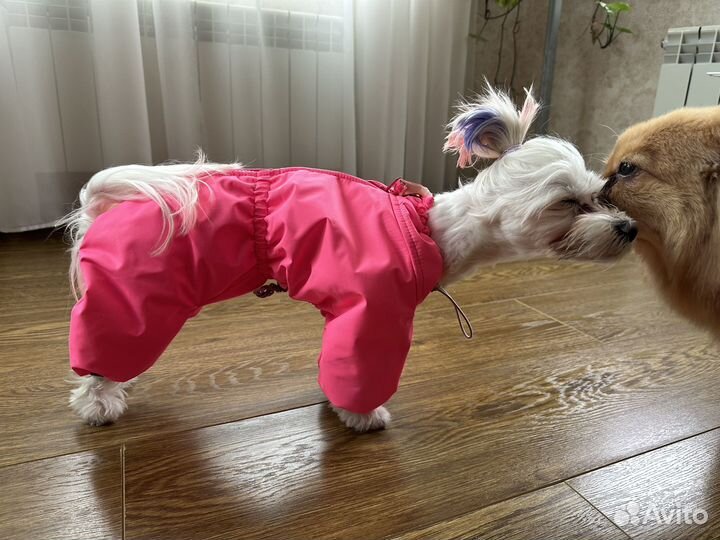 Куртка для средней собаки