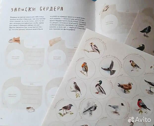 Книга с картинками и наклейками 