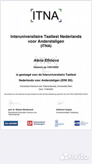 Репетитор по английскому и нидерландскому языкам