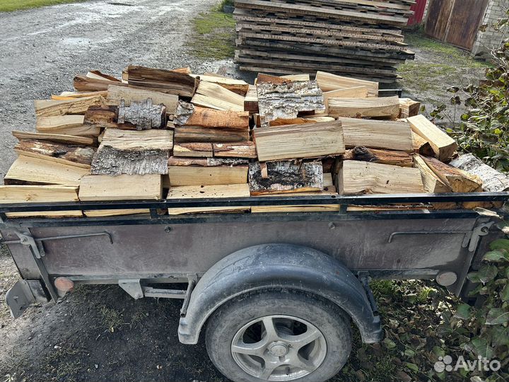 Дрова Берёза