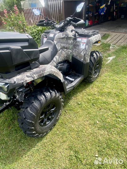 Cforce 800