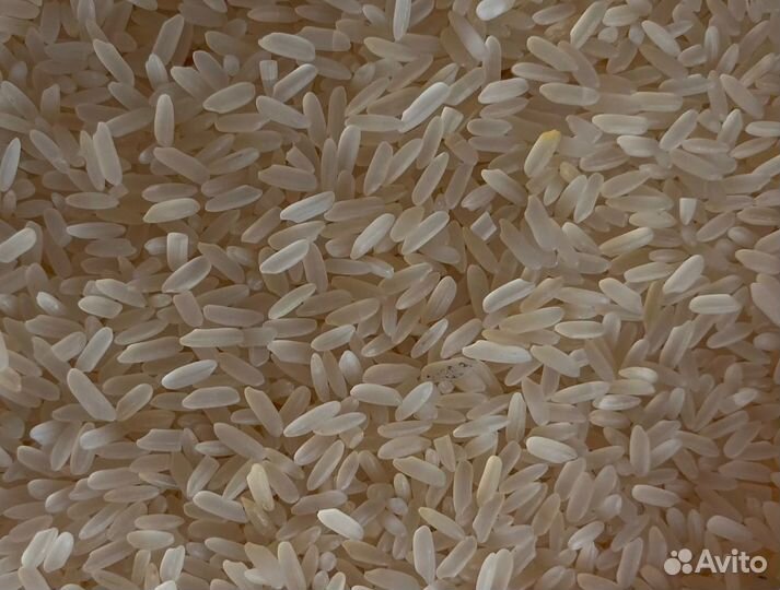 Рис пропаренный оптом