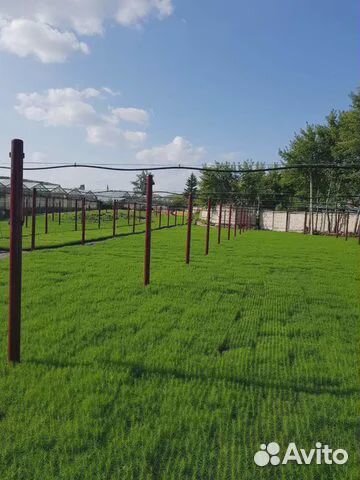 Миниспринклер для полива теплиц