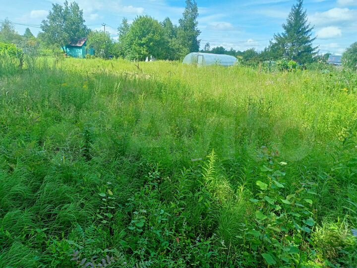 Участок 8 сот. (СНТ, ДНП)